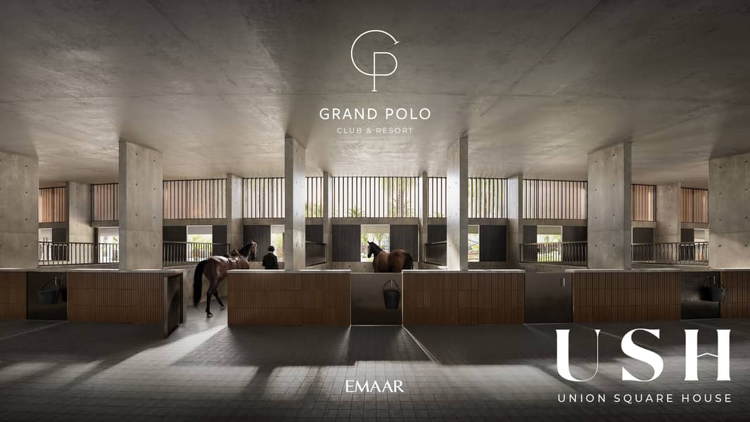 11 GRAND_POLO_IMAGE19. jpg