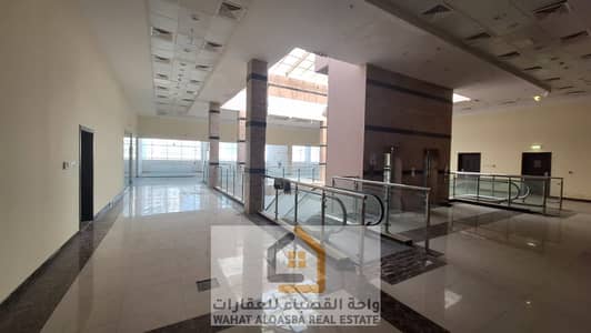 Building for Rent in Rolla Area, Sharjah - IMG-20250722-WA0004. jpg