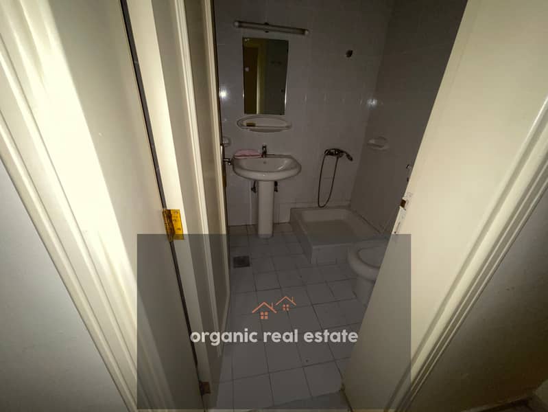 6 IMG_2573. jpeg