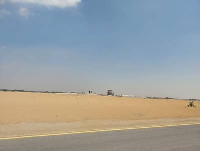 ارض سكنية  للبيع في البليدة، الشارقة - land 1. jpeg