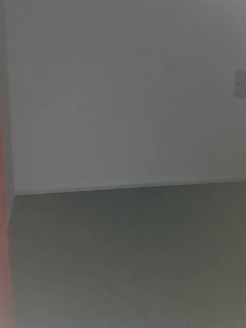 3 afae54de-97ee-4524-b1e0-3e299fcef5ea. jpg