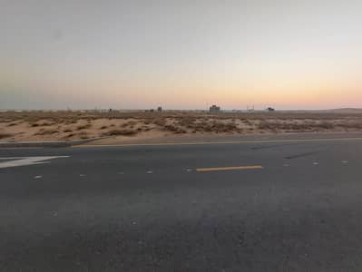 阿尔泰， 夏尔迦 商业地块待售 - WhatsApp Image 2025-03-18 at 2.56. 42 PM. jpeg