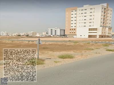 ارض سكنية  للبيع في الراشدية، عجمان - صورة واتساب بتاريخ 2024-11-23 في 23.49. 55_650b9048. jpg