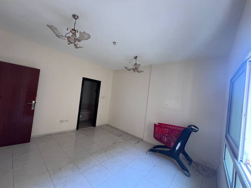 2 03efad19-5367-4801-a608-f31a552cc69b. jpg