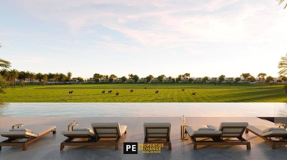 3 Polo-Fields. jpg