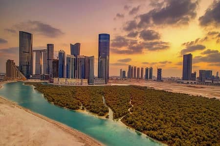 ارض سكنية  للبيع في جزيرة الريم، أبوظبي - IMG-20241010-WA0060. jpg