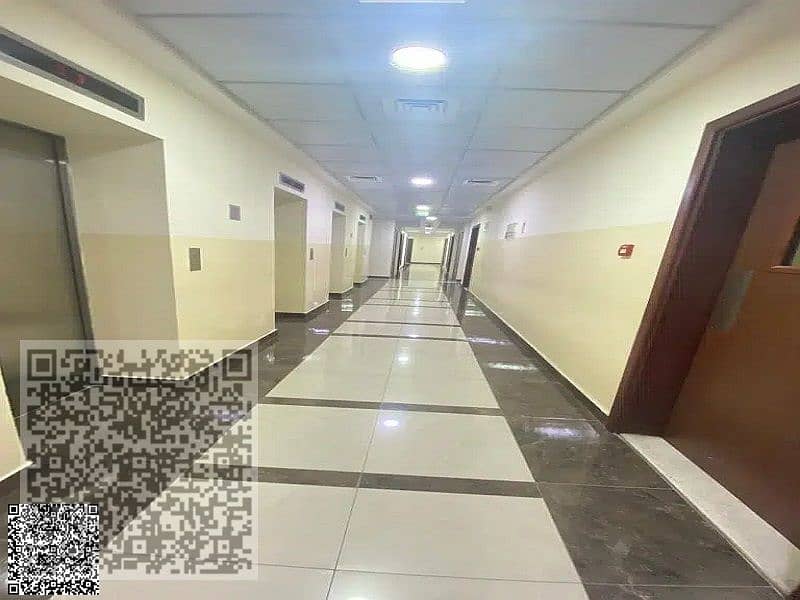 3 384580050-1066x800. jpg