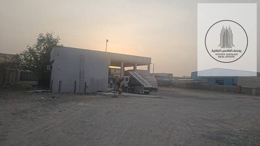 Industrial Land for Rent in Umm Al Thuoob, Umm Al Quwain - WhatsApp Image 2025-07-24 at 1.19. 51 PM. jpeg