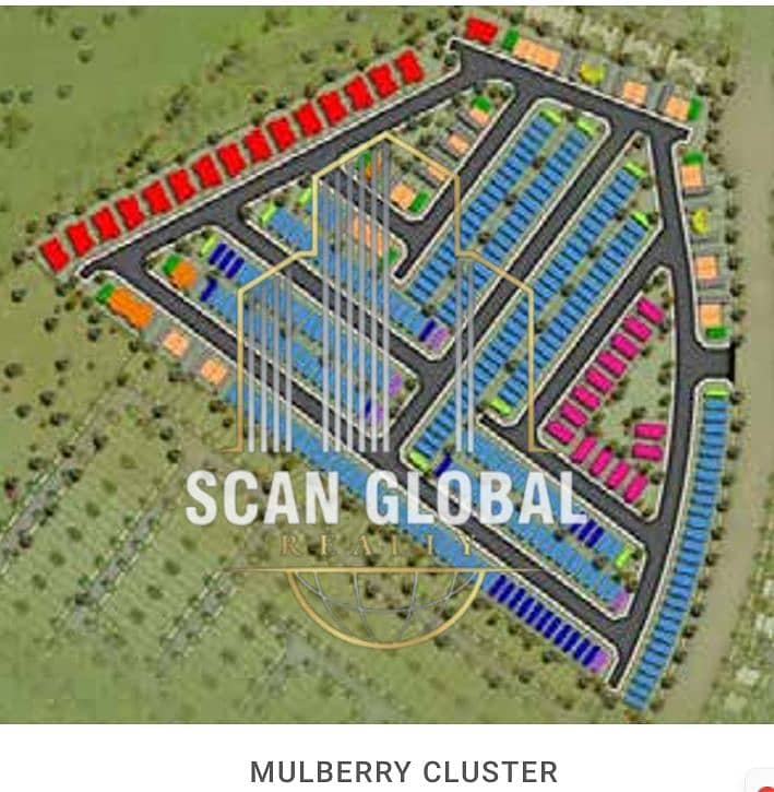 3 Mulberry Plot. png