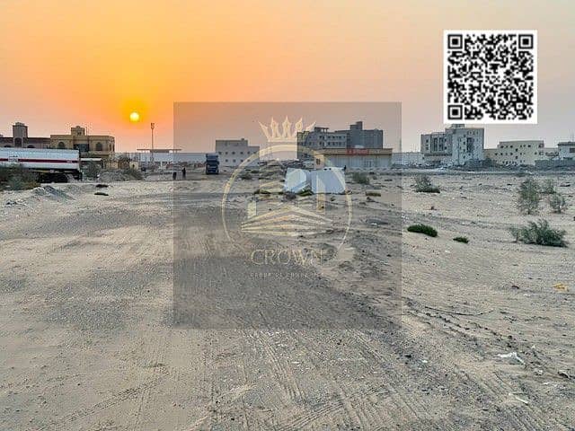 9 IMG_3587. jpg
