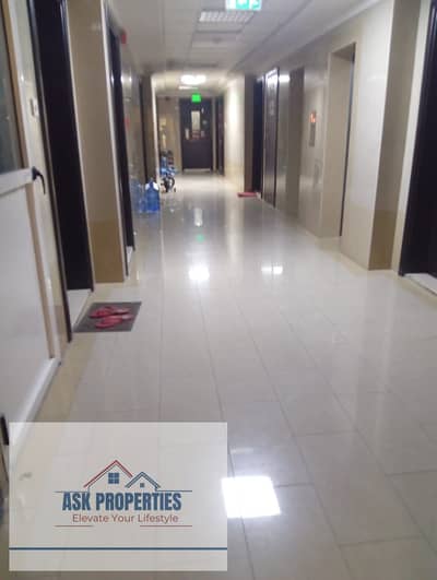 阿布-沙加拉， 夏尔迦 2 卧室公寓待租 - 1000048757. jpg