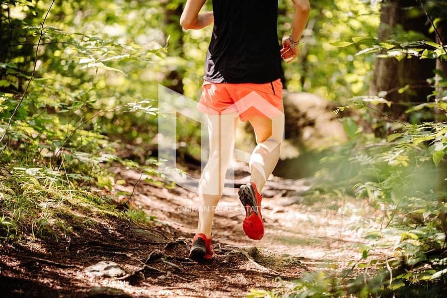 2 Exercise-Woods-Running-Forest-Tr. jpg