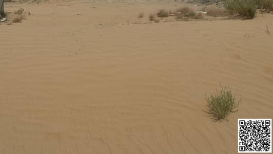 Industrial Land for Sale in Al Manama, Ajman - IMG-20241116-WA0016. jpg