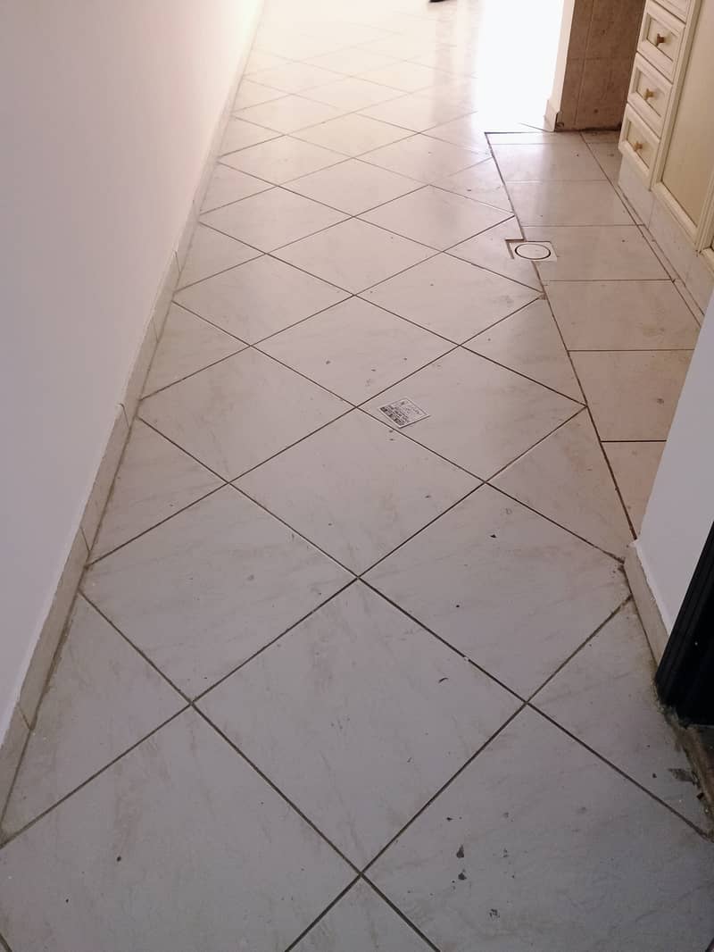 10 1000050386. jpg