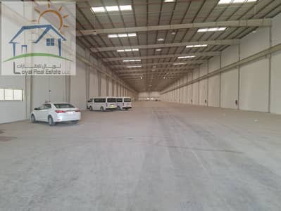 Warehouse for Rent in Al Sajaa Industrial, Sharjah - IMG_20250722_100355. jpg