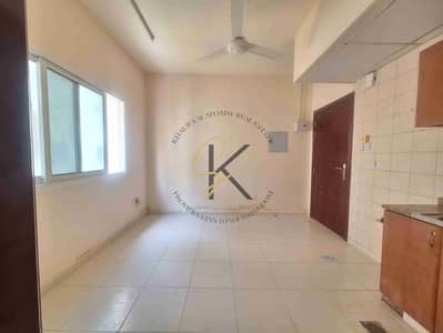 Studio for Rent in Muwaileh Commercial, Sharjah - 1000277972. jpg