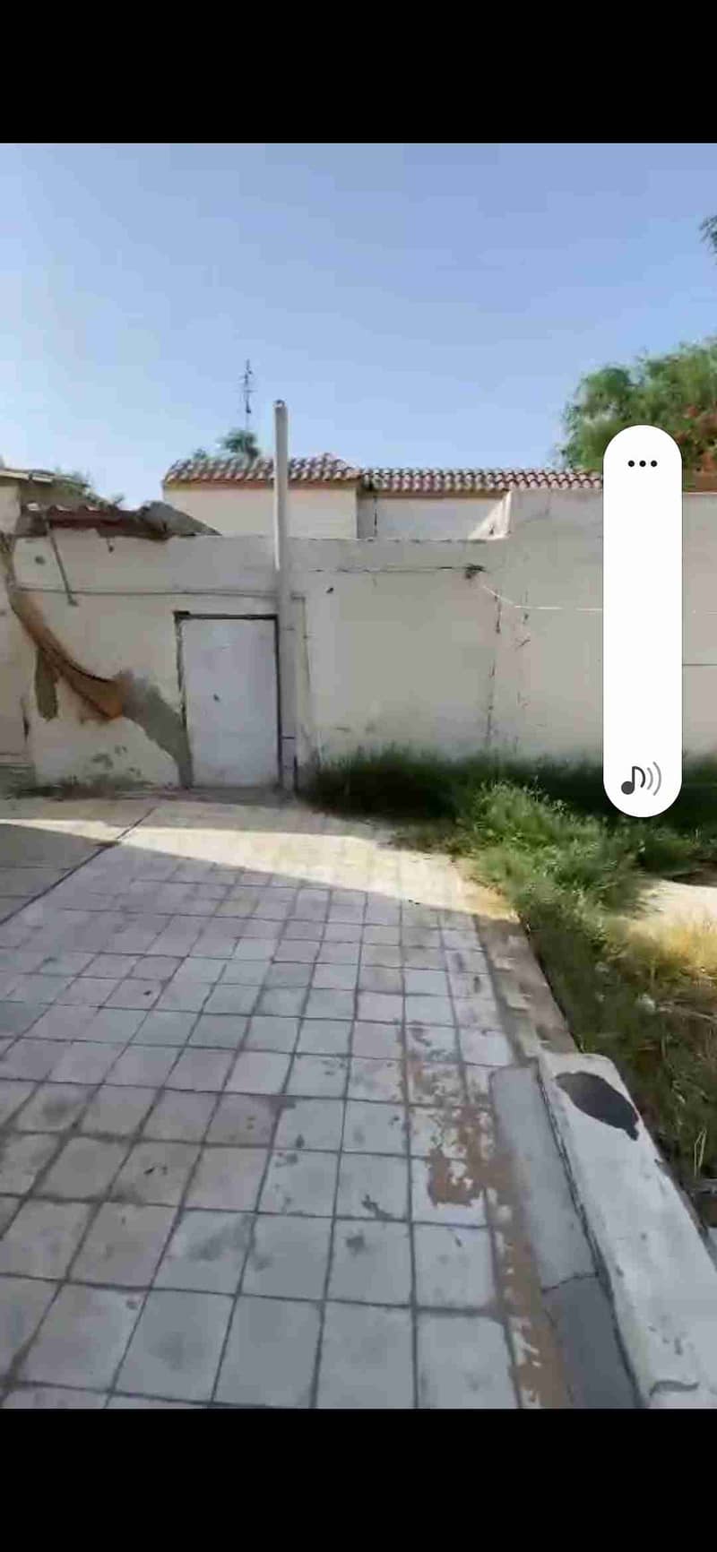11 1000753781. jpg