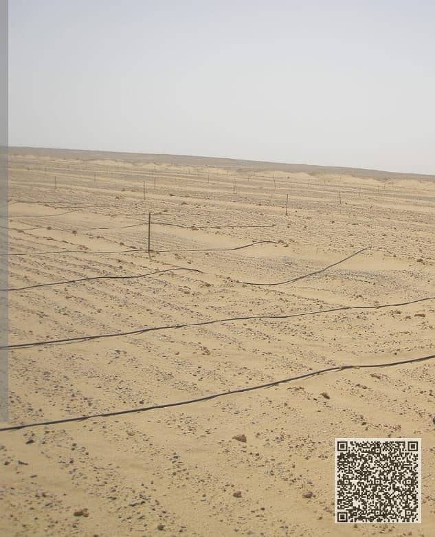 2 WhatsApp Image 2025-07-26 at 10.11. 54_da9b762a. jpg