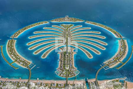 ارض سكنية  للبيع في نخلة جبل علي، دبي - ارض سكنية في سعفة P،نخلة جبل علي 54000000 درهم - 12342172