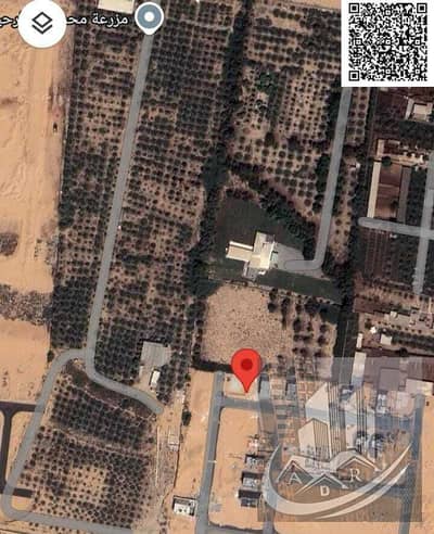 ارض سكنية  للبيع في الحليو، عجمان - IMG-20250726-WA0045. jpg