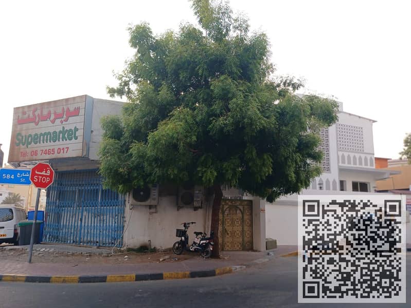 5 WhatsApp Image 2025-07-27 at 18.18. 48_b1e42c14. jpg