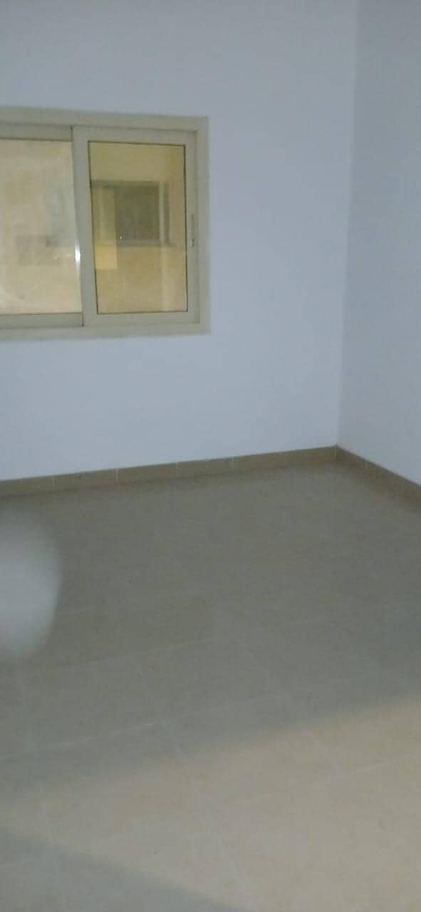 4 1000350153. jpg