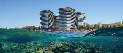 Brabus Island