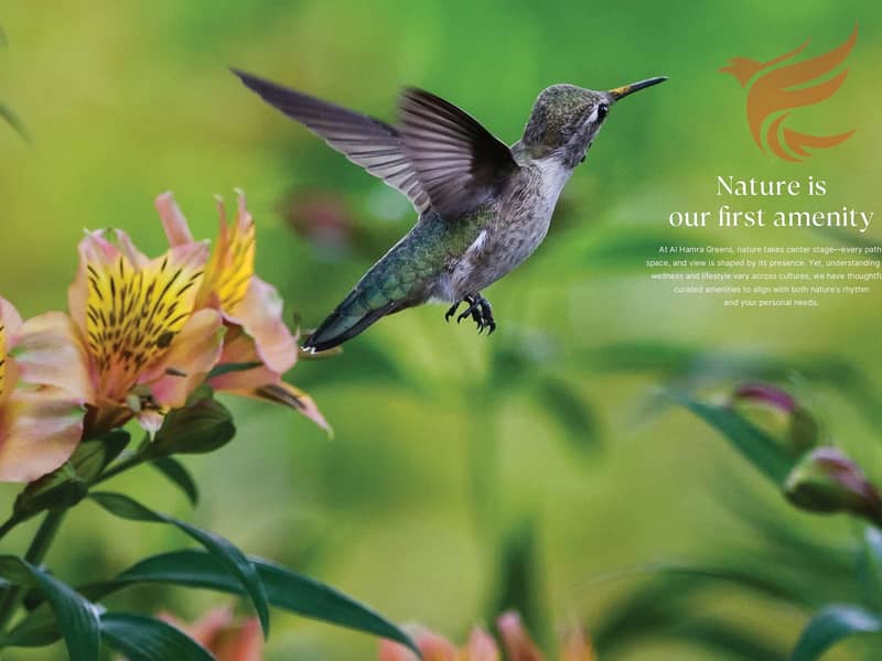 11 AHG - Brochure - Final_page-0022. jpg
