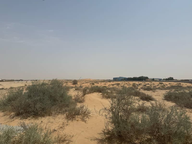 3 صجعة م 5. jpg