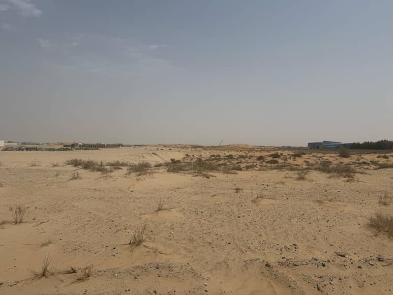 4 صجعة م 1. jpg