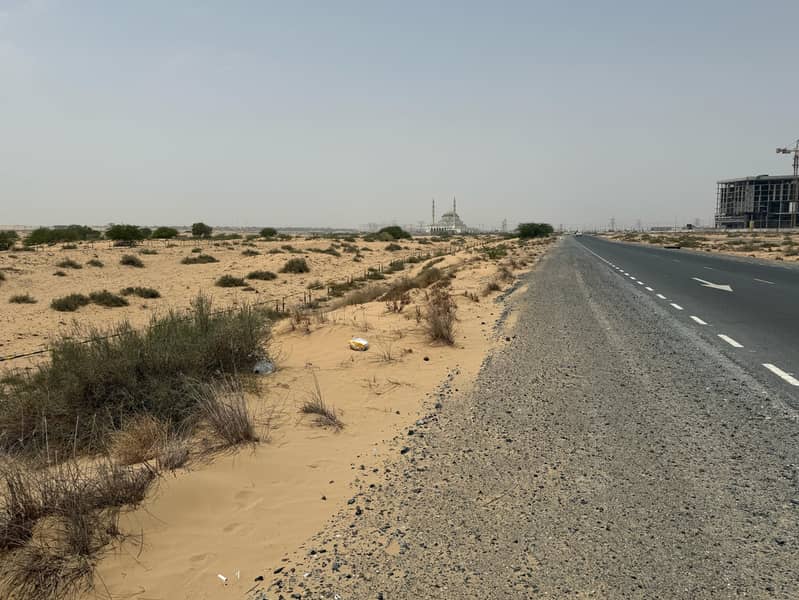 7 الرقيبة سيوح 10. jpg