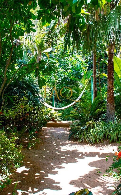 7 garden. jpg