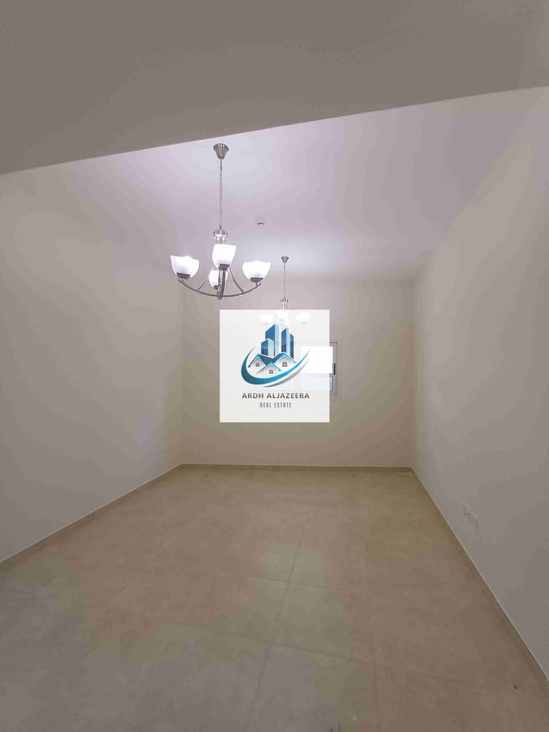5 1000589100. jpg