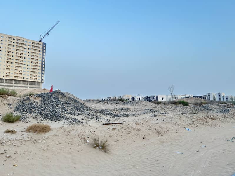 3 IMG_5347. jpeg