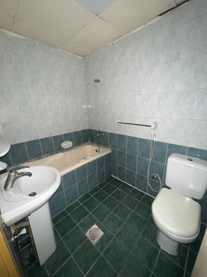 3 IMG_8337. jpeg