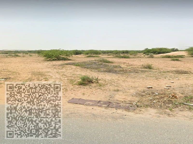 2 صورة واتساب بتاريخ 1446-12-06 في 21.45. 17_02ca12f2. jpg