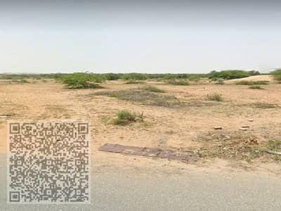 Земля промышленного назначения Продажа в Аль Хамрия, Шарджа - صورة واتساب بتاريخ 1446-12-06 في 21.45. 17_02ca12f2. jpg