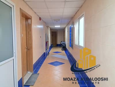 1 Bedroom Flat for Rent in Muwaileh Commercial, Sharjah - 20250723_145054. jpg