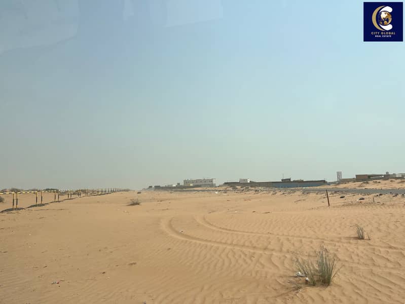 3 IMG_0568. jpeg