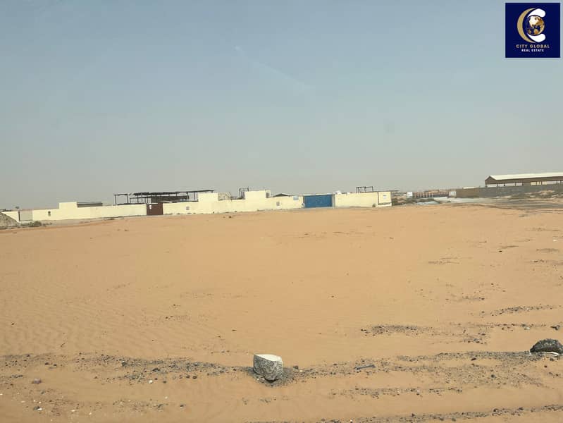 6 IMG_0574. jpeg