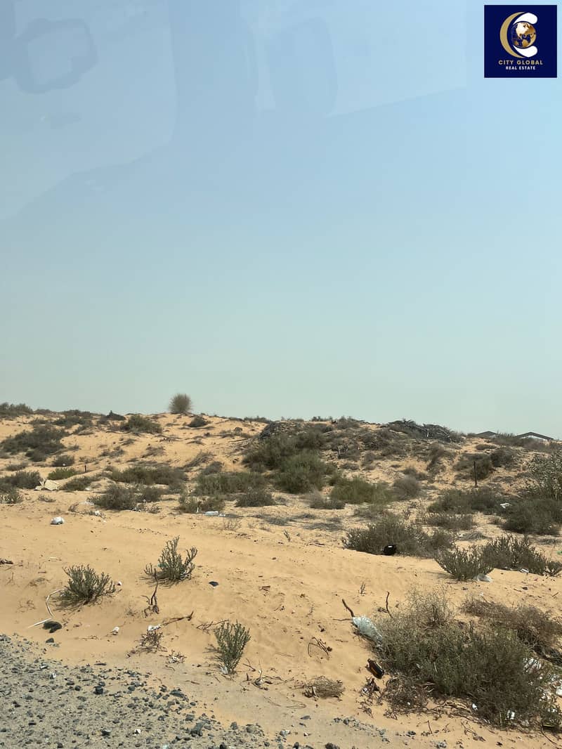 8 IMG_0563. jpeg