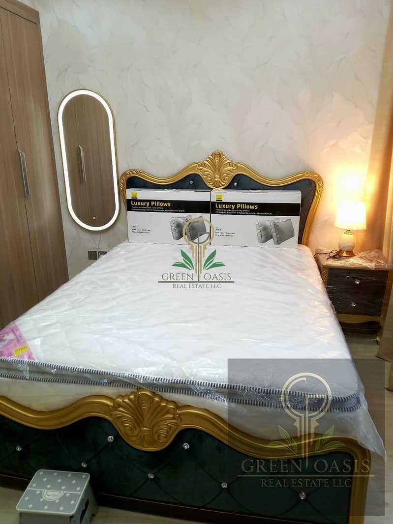 Fully Furnished | Grab Now | Stylish Studio