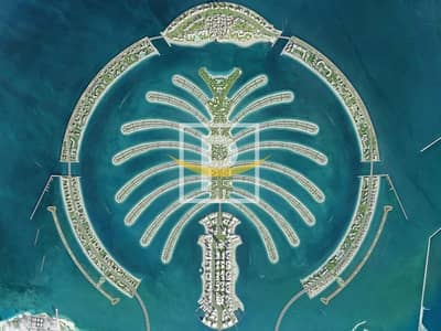 杰贝阿里棕榈园， 迪拜 住宅地块待售 - 位于杰贝阿里棕榈园，Frond L 的住宅地块 50000000 AED - 12375725