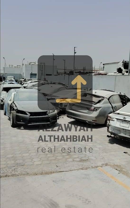 9 WhatsApp Image 2025-07-30 at 11.05. 02_e2dc53d2. jpg