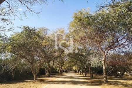 艾尔朱尔夫， 阿布扎比 住宅地块待售 - Al-Jurf-Gardens-Abu-Dhabi-UAE (43). jpg