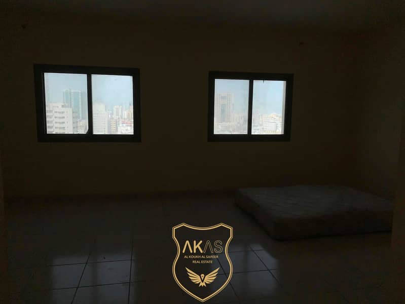 5 IMG_8225. jpg