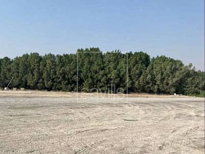 Участок Продажа в Аль Саджа, Шарджа - Участок в Аль Саджа, 1920000 AED - 12386140