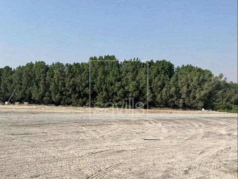 位于阿尔萨斯 的商业地块 1920000 AED - 12386140 位于阿尔萨斯 的商业地块 1920000 AED - 12386140