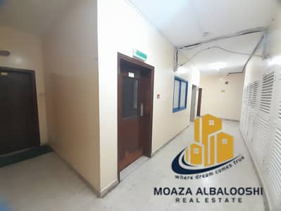 استوديو  للايجار في شارع الوحدة، الشارقة - 20250728_141955. jpg
