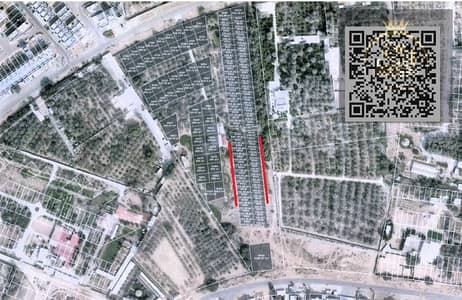 阿尔扎哈亚， 阿治曼 住宅地块待售 - WhatsApp Image 2025-06-25 at 4.53. 48 PM - Copy (2). jpeg